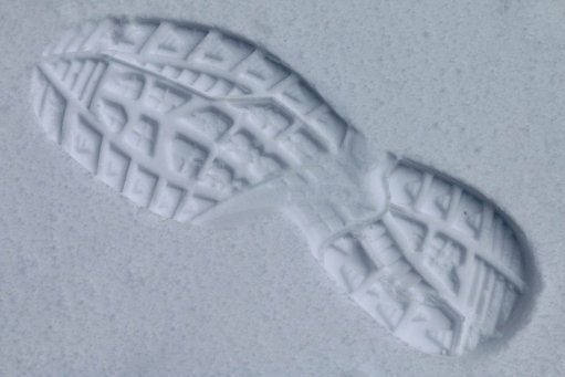 Blog - Ako čítať stopy v snehu