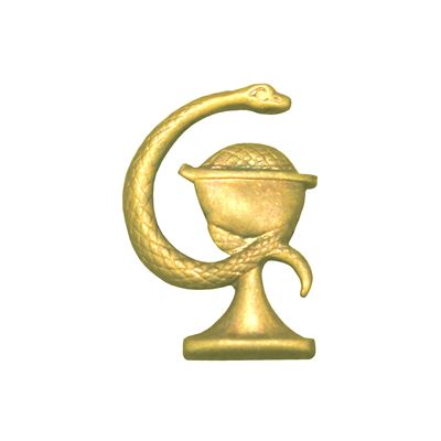 Odznak CSLA/AČR MEDIC